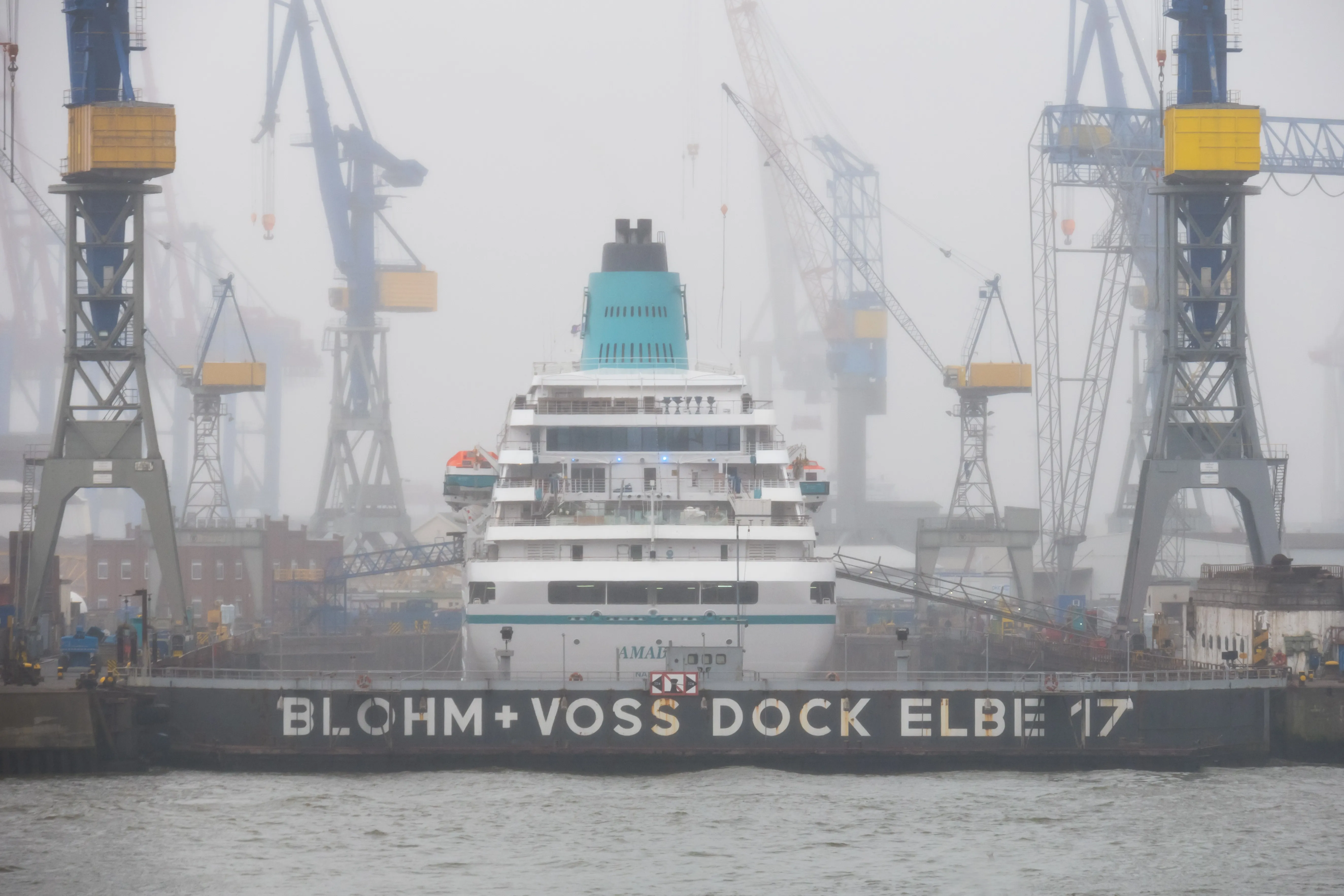Cruise ship in Blohm+Voss Dock Elbe 17, Hamburg